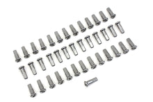 Load image into Gallery viewer, Spoke 40 Piece Cadmium Nipple Set<br /><span class="skuNo">45-0160</span><br /><span class="titleYears">FL 1941-84 • FL 1941-84 </span>