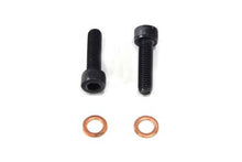 Load image into Gallery viewer, Fork Damper Tube Screw and Washer<br  /><span class="skuNo">24-0787</span><br /><span class="titleYears">See Details for Year Compatibility </span>
