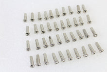 Load image into Gallery viewer, 40 Piece Spoke Nipple Set Stainless Steel&lt;br  /&gt;&lt;span class=&quot;skuNo&quot;&gt;45-0922&lt;/span&gt;&lt;br /&gt;&lt;span class=&quot;titleYears&quot;&gt;See Details for Year Compatibility &lt;/span&gt;
